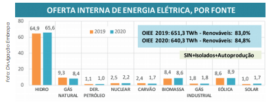 O crescente mercado de Biomassa de Eucalipto